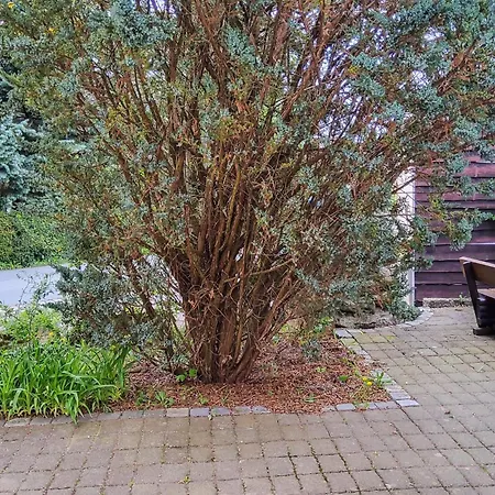 Lägenhet In Bad Schandau- Kleing