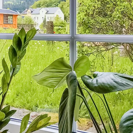 Apartment Cozy In Bad Schandau- Kleing, With Wifi *